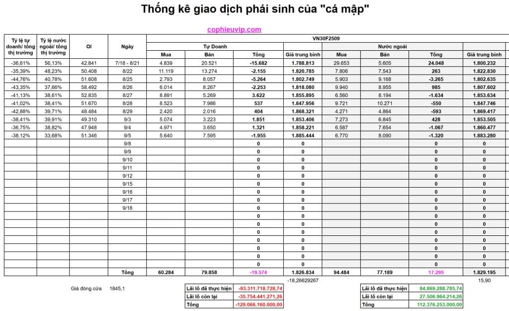 Bắt Mạch Chứng Khoán Ngày 8/9/2025: Hồi Phục Kỹ Thuật Hay Điều Chỉnh Sâu Hơn?