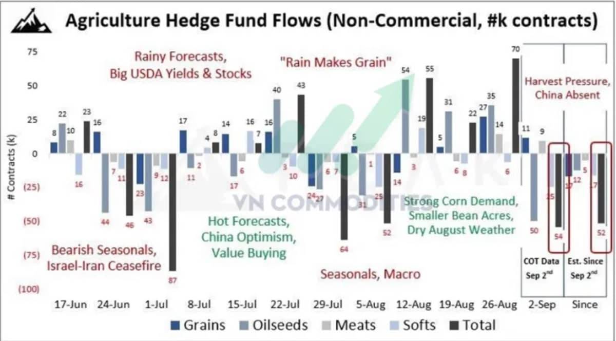 Toàn cảnh nông sản ngô giữ nhịp nhờ quỹ, đậu tương chịu rủi ro khô hạn