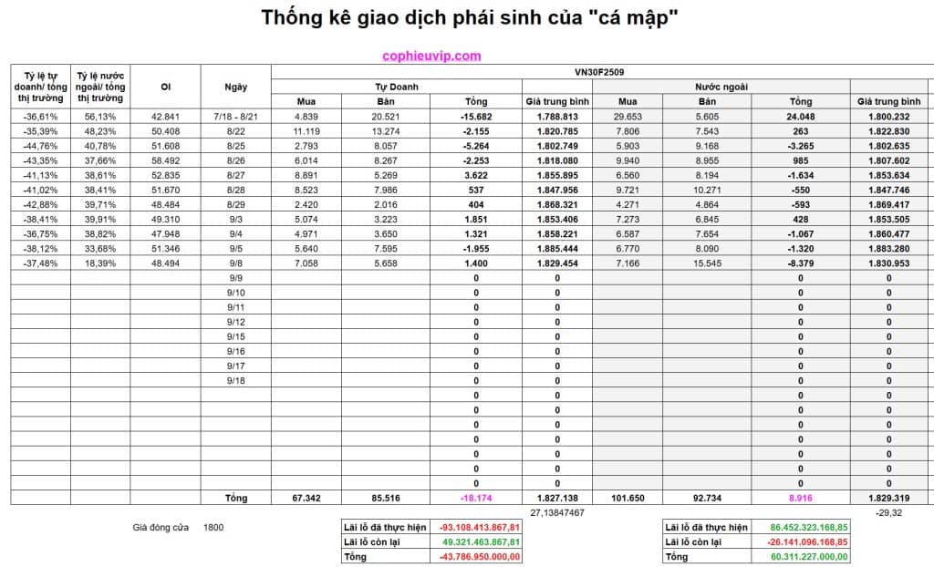 Bắt Mạch Chứng Khoán Ngày 9/9/2025: Một Nhịp Hồi Kỹ Thuật Có Thể Xảy Ra?
