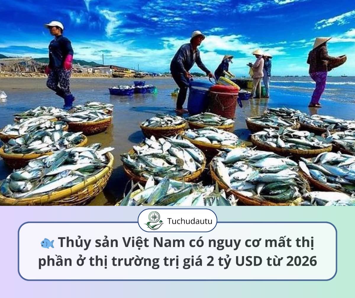 Thủy sản Việt Nam có nguy cơ mất thị phần ở thị trường trị giá 2 tỷ USD từ 2026