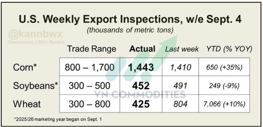 Giá Ngô Tăng Nhẹ Trước Báo Cáo USDA – Xu Hướng Tích Lũy Chuẩn Bị Cho Sóng Mới