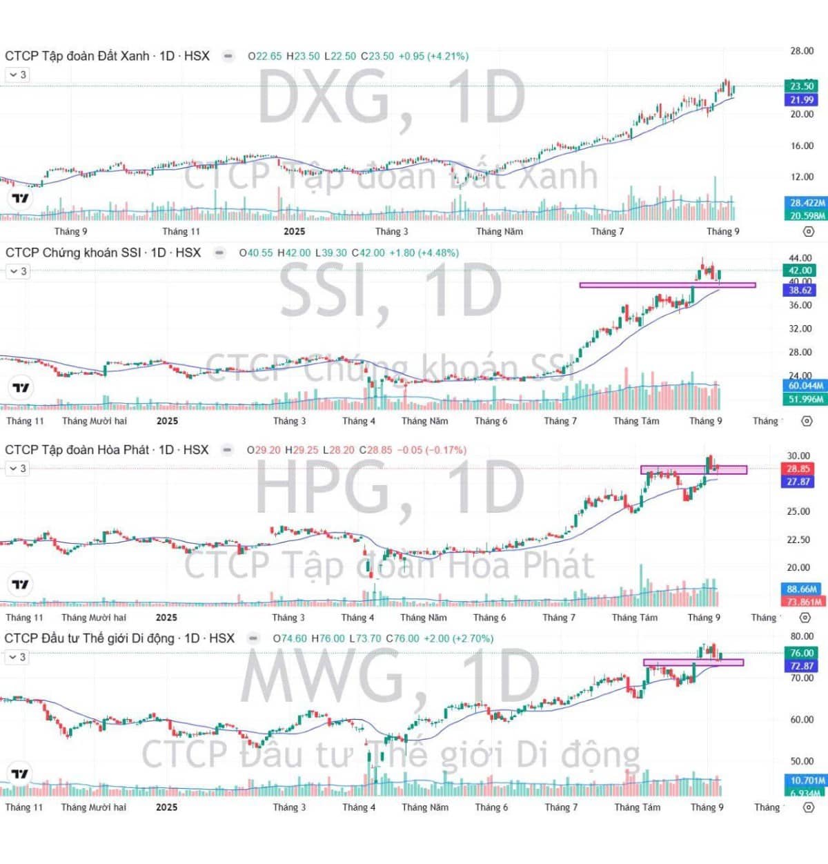 Tại sao phải chọn cổ phiếu dẫn dắt để đầu tư cuối năm?