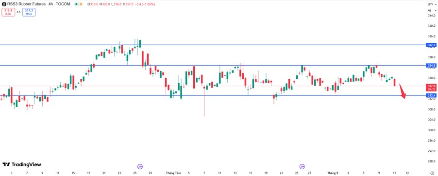 Thị trường cao su đỏ lửa: Nhu cầu ô tô yếu, mùa vụ khai thác gia tăng