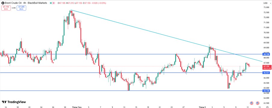 Thị trường cao su đỏ lửa: Nhu cầu ô tô yếu, mùa vụ khai thác gia tăng