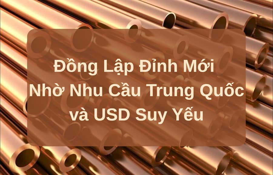 Đồng Lập Đỉnh Mới Nhờ Nhu Cầu Trung Quốc và USD Suy Yếu