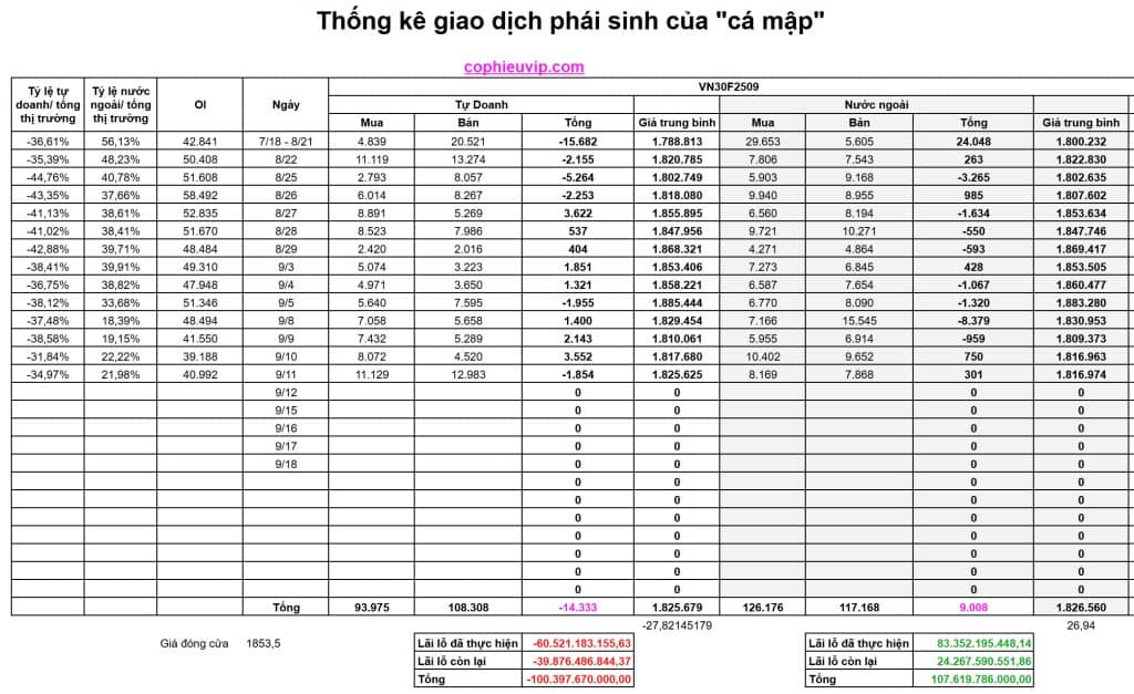 Bắt Mạch Chứng Khoán Ngày 12/9/2025: Hồi Phục Và Kiểm Tra Lại Các Ngưỡng Kháng Cự