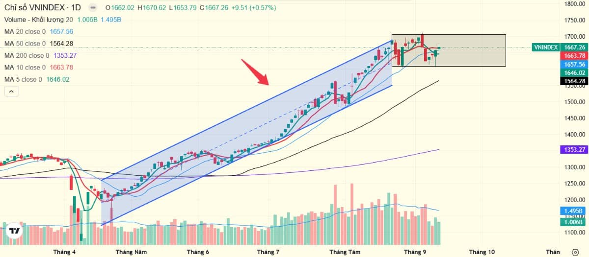 95% nhà đầu tư đều thua lỗ – Dù nắm giữ cổ phiếu mạnh!