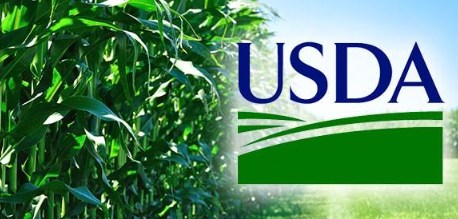 USDA Giữ Nguyên Dự Báo Nhiên Liệu Sinh Học – Tác Động Tới Giá Dầu Đậu & Đậu Tương CBOT