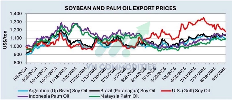 Bản đồ nông sản 9/2025: Nguồn cung dồi dào, ngô dẫn sóng, đậu tương dư cung