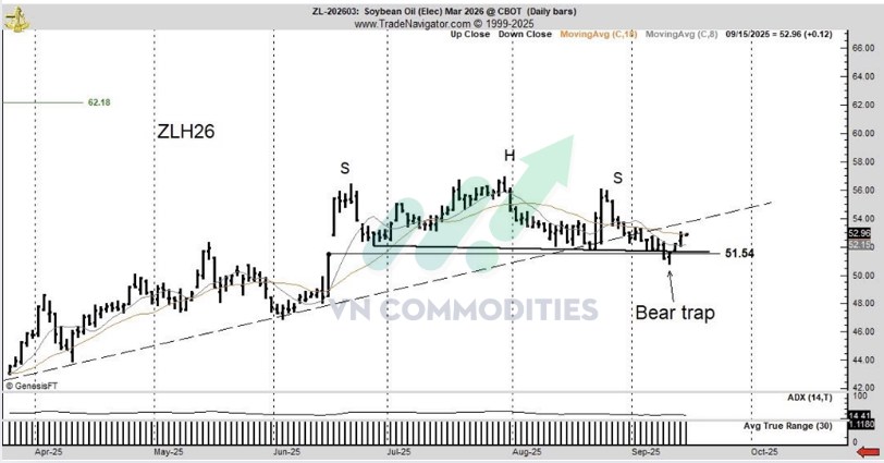 Bản đồ nông sản 9/2025: Nguồn cung dồi dào, ngô dẫn sóng, đậu tương dư cung