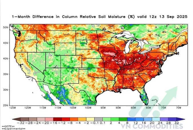 Bản đồ nông sản 9/2025: Nguồn cung dồi dào, ngô dẫn sóng, đậu tương dư cung