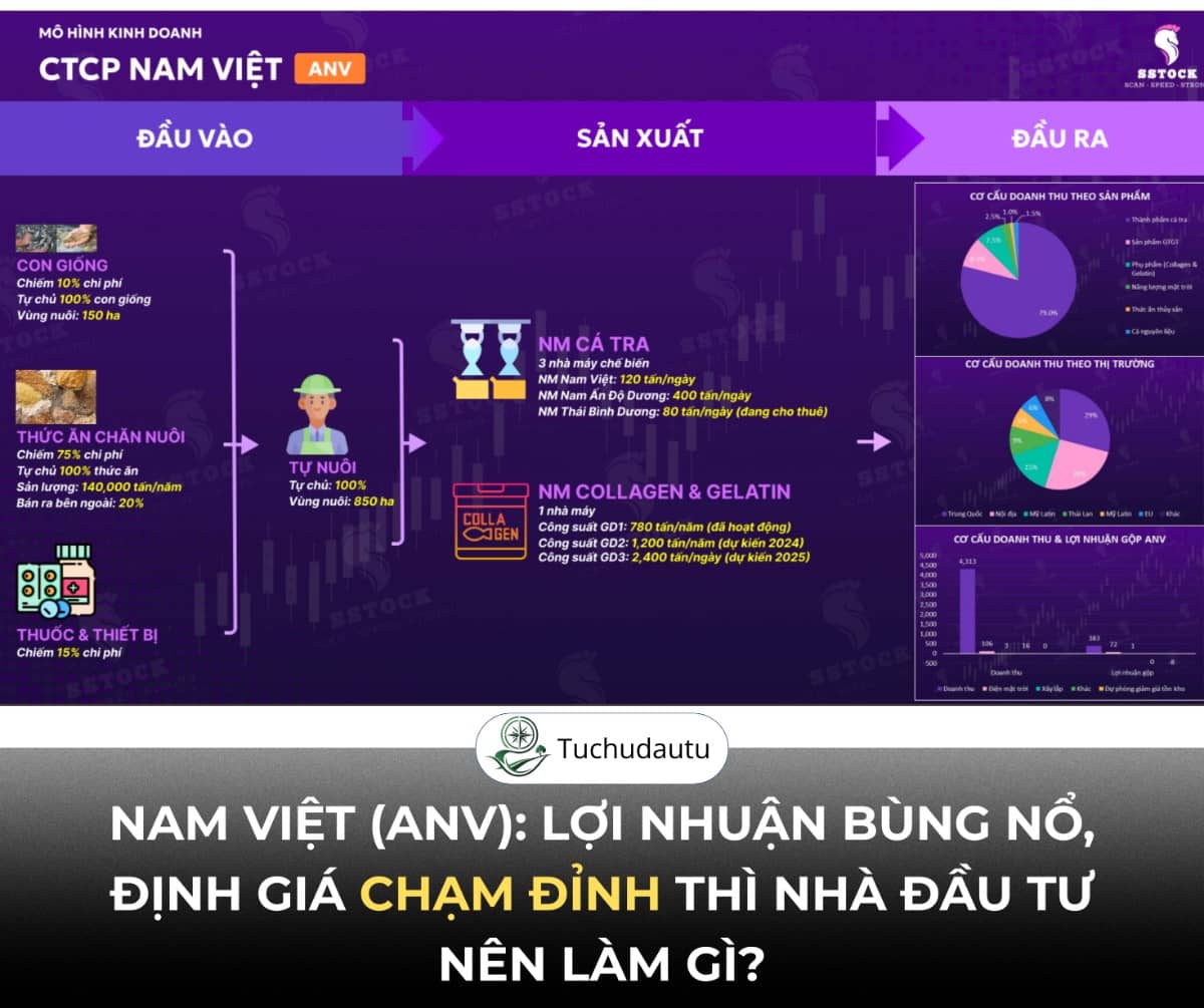 Nam Việt (ANV): Lợi nhuận bùng nổ, định giá chạm đỉnh thì nhà đầu tư nên làm gì?