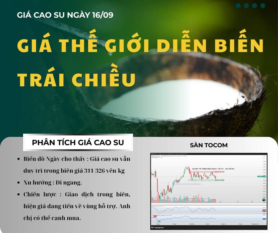 Tác động của giá cao su thế giới đối với doanh nghiệp Việt Nam