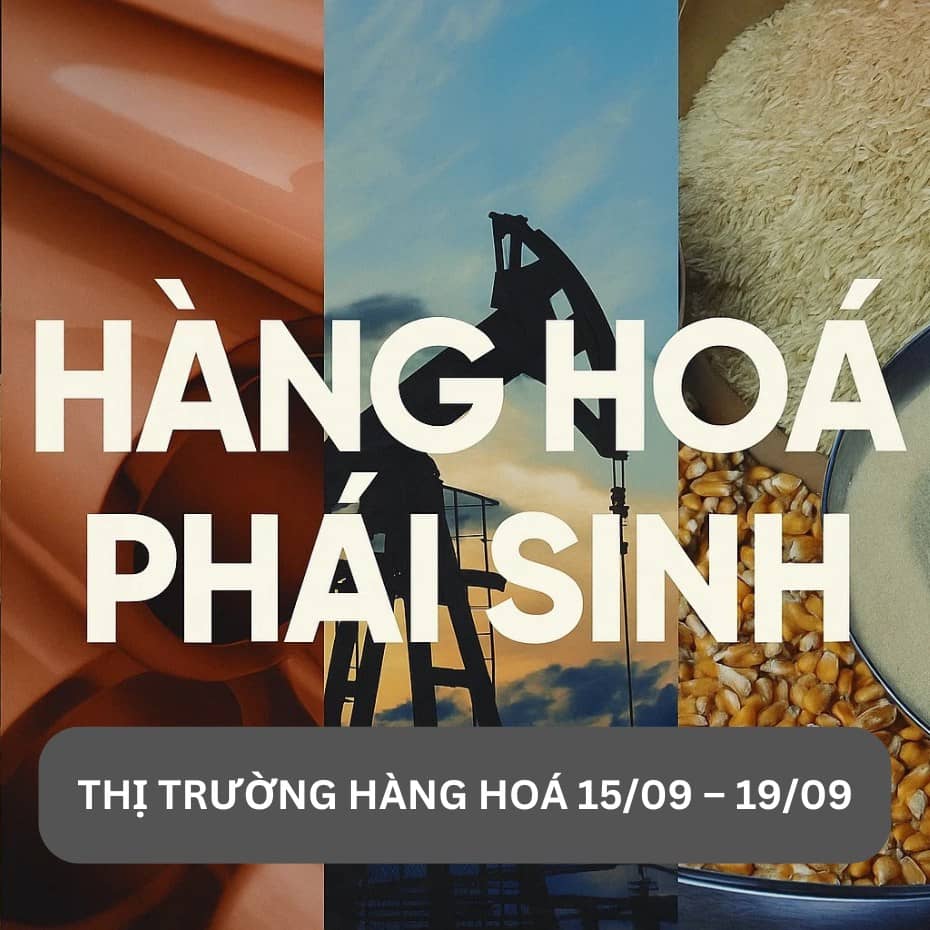 HỊ TRƯỜNG HÀNG HOÁ 15/09 – 19/09. 1. Tổng quan thị trường hàng hoá. - Tăng trưởng việc làm thấp (107.000  ...