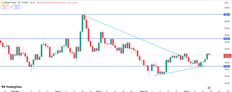 Lúa Mì Mỹ Phục Hồi: Tồn Kho Giảm, USD Suy Yếu và Kỳ Vọng Xuất Khẩu Tăng