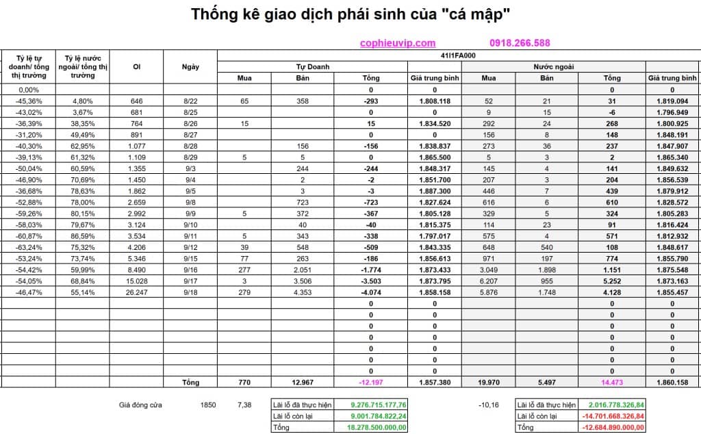 Bắt Mạch Chứng Khoán Ngày 19/9/2025: Liệu Có Hồi Phục Kỹ Thuật Ngắn Hạn?