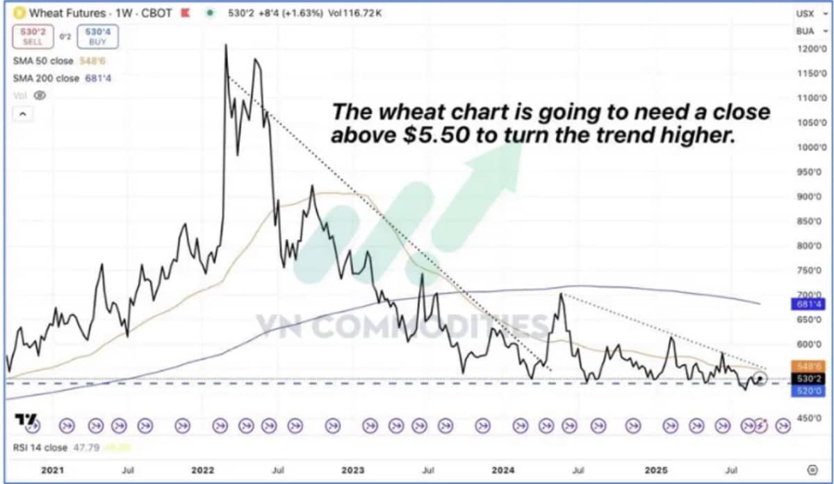 Tác động chính từ Fed, khô hạn và xuất khẩu làm biến động nông sản