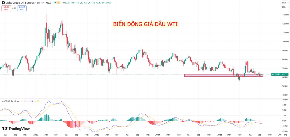 Trung Quốc tăng tốc nhập khẩu dầu thô: Chiến lược tích trữ giữa lúc nguồn cung dồi dào