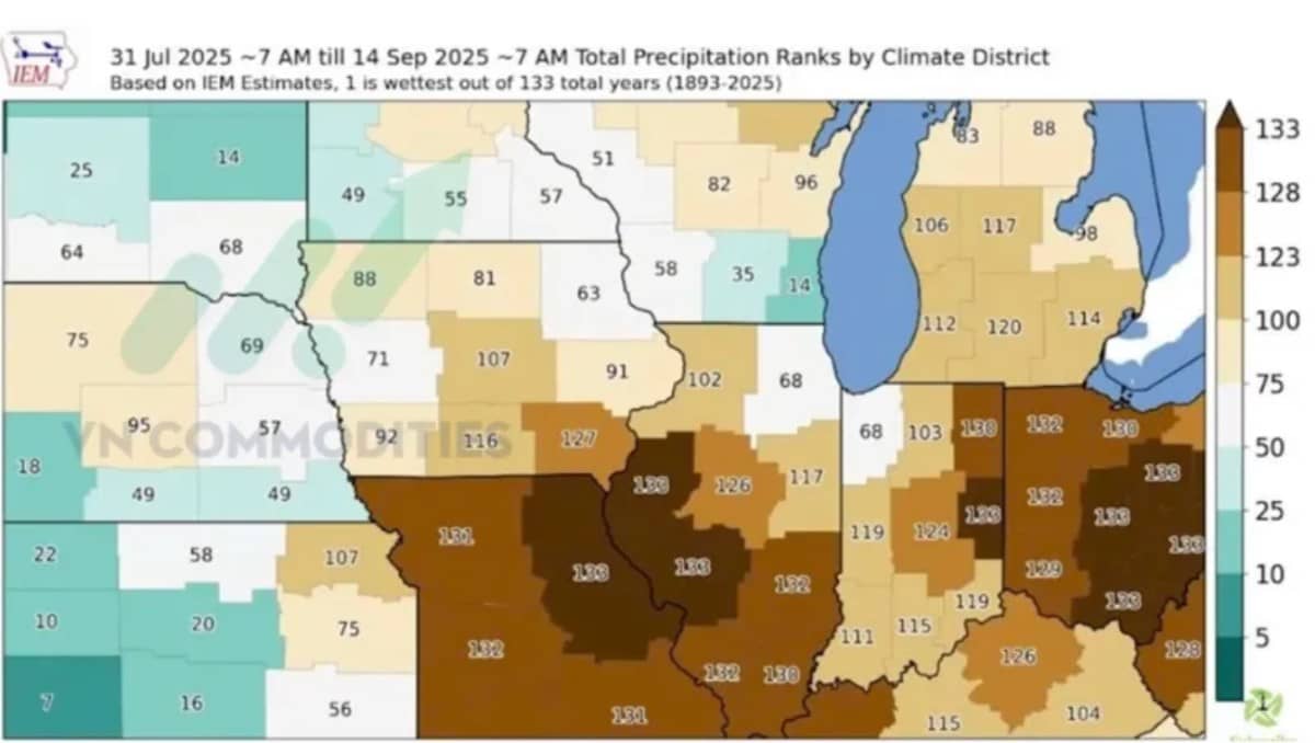 Tác động chính từ Fed, khô hạn và xuất khẩu làm biến động nông sản