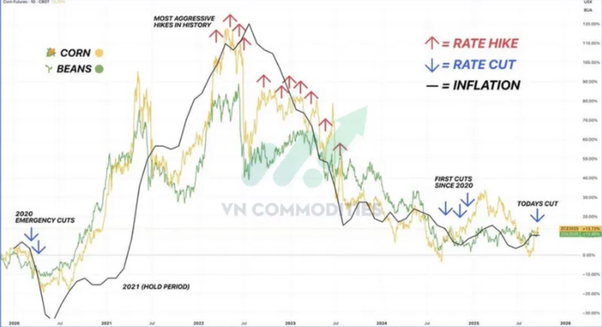 Tác động chính từ Fed, khô hạn và xuất khẩu làm biến động nông sản