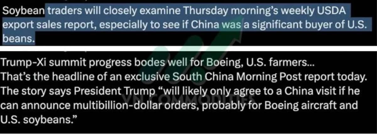 Tác động chính từ Fed, khô hạn và xuất khẩu làm biến động nông sản