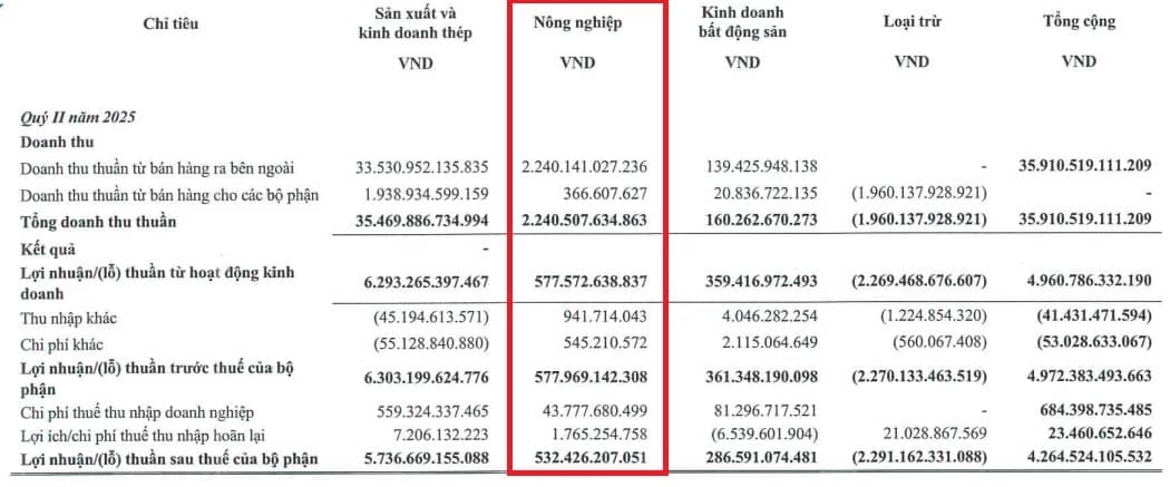 Hòa Phát giảm vốn nghìn tỷ mảng nông nghiệp trước thềm IPO: Điều gì đang diễn ra?