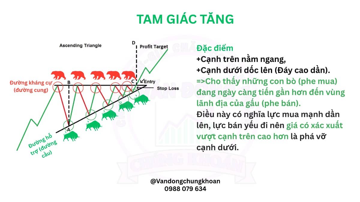 Giải mã mẫu hình Tam giác – Vũ khí lợi hại trong phân tích kỹ thuật