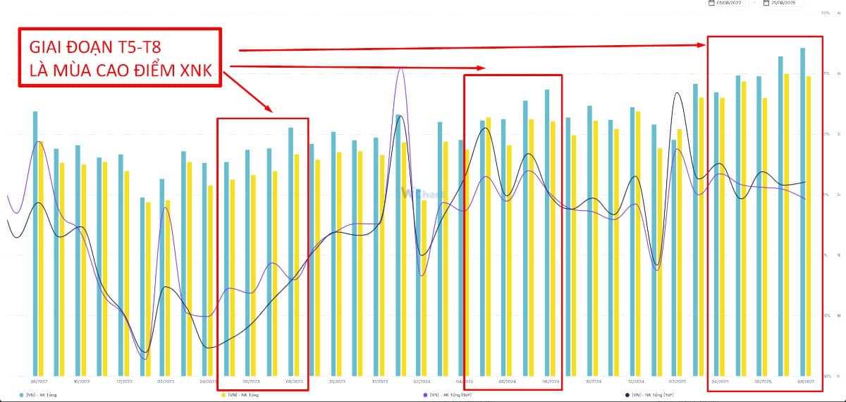 Xuất nhập khẩu Việt Nam tăng mạnh – nhưng doanh nghiệp nội địa đang ‘đuối sức"?