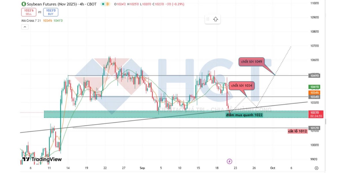 Thị trường nông sản 2025: Quỹ đầu cơ đổi chiều, sản lượng bùng nổ – Đậu tương chờ sóng hồi﻿