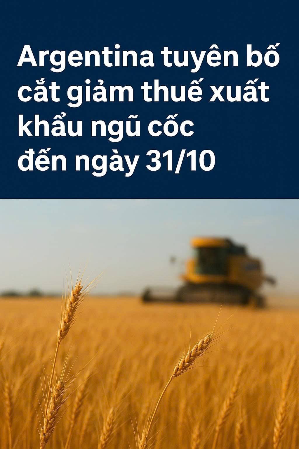 Argentina giảm thuế: Nông sản đỏ lửa, gia súc hưởng lợi lớn