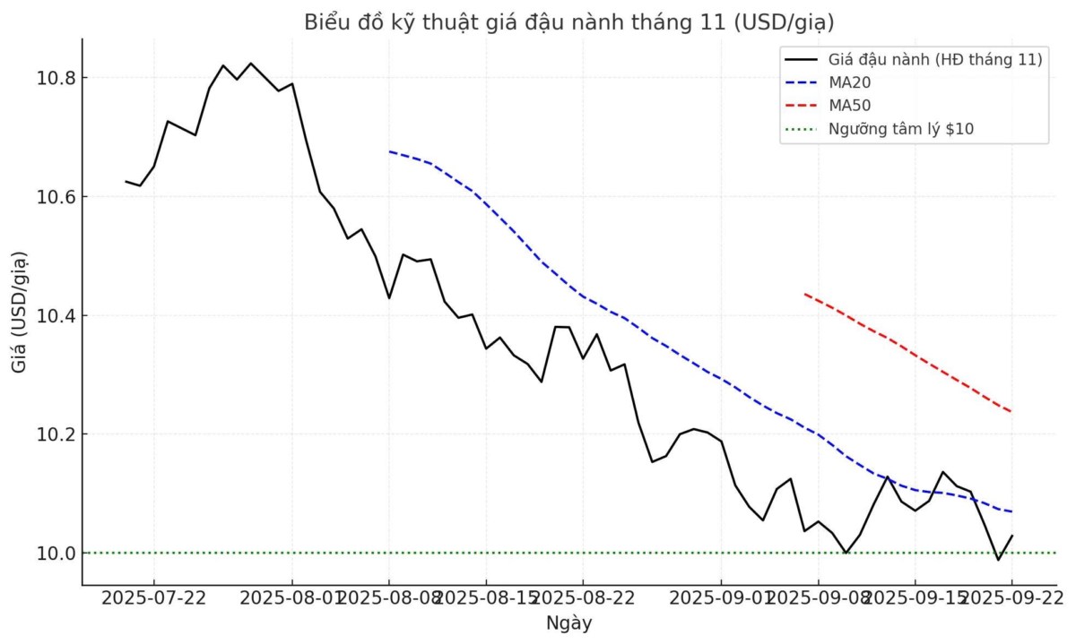 Argentina giảm thuế: Nông sản đỏ lửa, gia súc hưởng lợi lớn