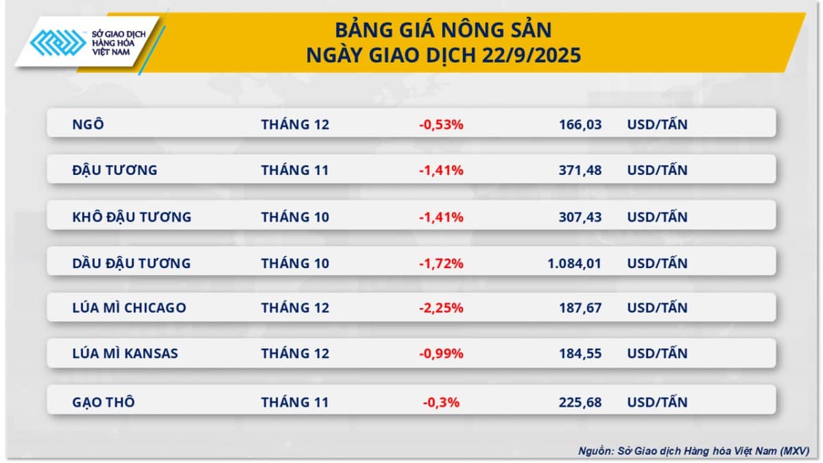 Áp lực từ nông sản, MXV-Index nối dài chuỗi 4 phiên giảm