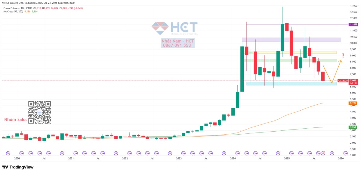 Từ thiếu hụt đến bùng nổ sản lượng: Thị trường ca cao đang viết lại quy luật cung – cầu
