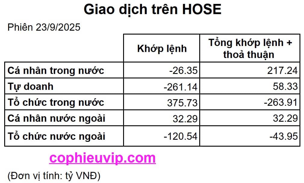 Bắt Mạch Chứng Khoán Ngày 24/9/2025: Hồi Phục Yếu Và Tiếp Tục Điều Chỉnh?