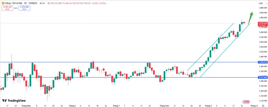 Vàng Bứt Phá Lập Kỷ Lục Mới – Động Lực Nào Đang Thúc Đẩy?