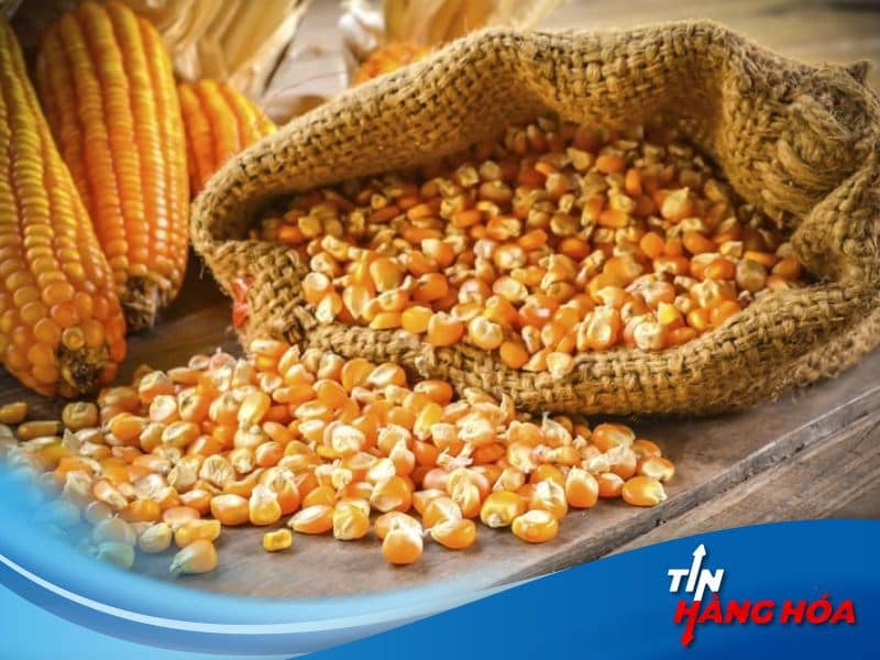 USDA vừa thông báo Mỹ bán 123.000 tấn (tương đương 5 triệu giạ) ngô sang Mexico