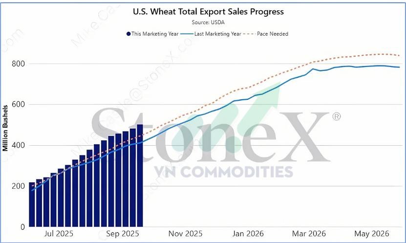 Kinh tế Mỹ tăng trưởng vượt kỳ vọng, Fed giảm nhịp cắt lãi – Vàng chịu áp lực, nông sản khởi sắc, cà phê – Ca cao chờ tín hiệu đảo chiều