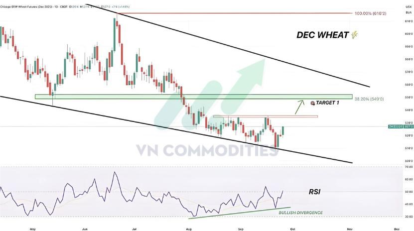 Kinh tế Mỹ tăng trưởng vượt kỳ vọng, Fed giảm nhịp cắt lãi – Vàng chịu áp lực, nông sản khởi sắc, cà phê – Ca cao chờ tín hiệu đảo chiều
