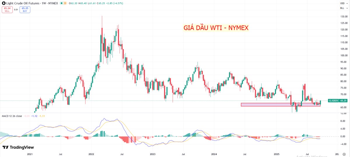 Biến động giá dầu thô: Nguồn cung OPEC+ và nhu cầu toàn cầu chậm lại