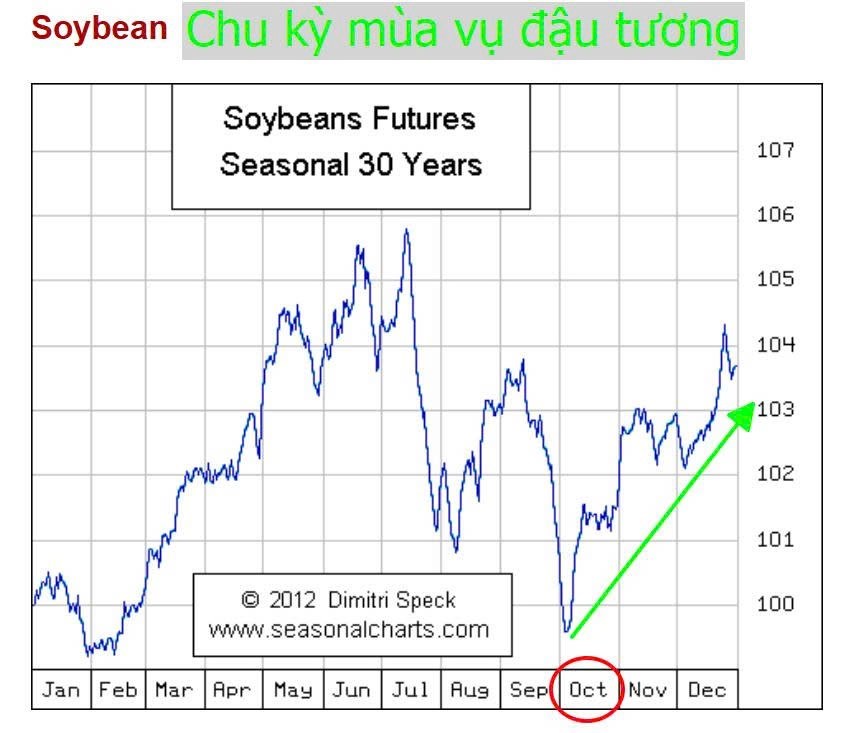 170 tỷ USD “bốc hơi” khỏi thị trường tiền điện tử chỉ trong 24 giờ