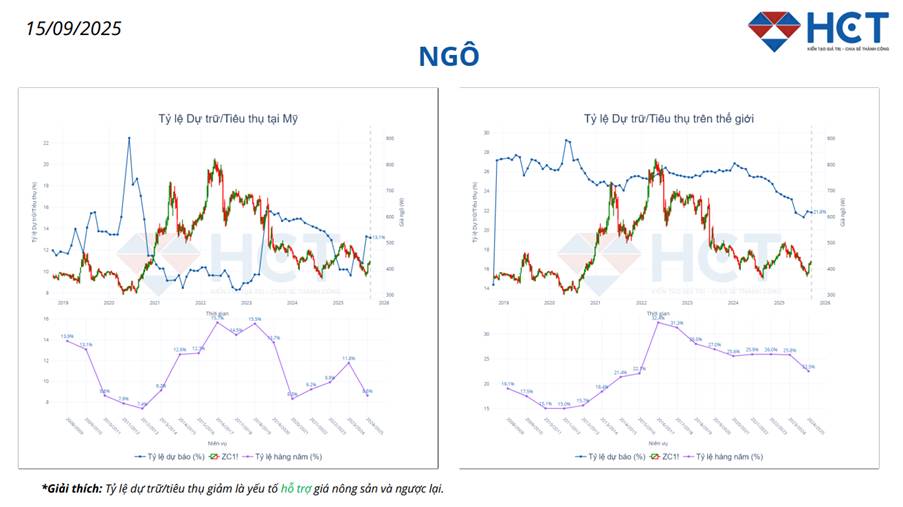 Giá ngô tháng 9/2025 – cơ hội đón sóng mùa vụ tháng 10