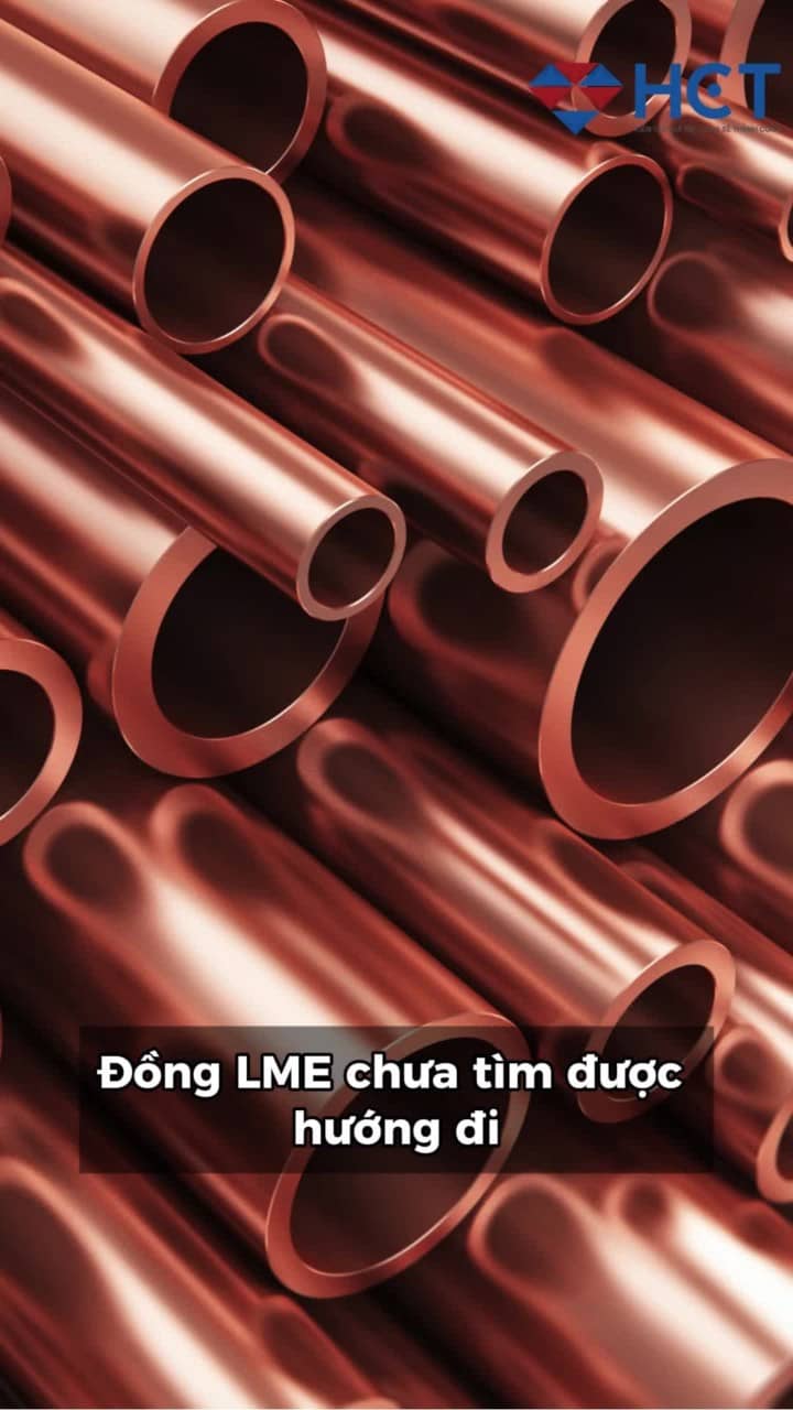 Bản tin đồng 22-08-2025