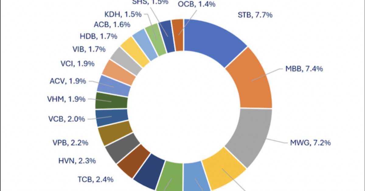 Vì sao hiệu suất 17 quỹ mở thua xa VN-Index?