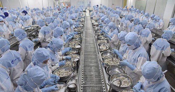 Nhiều công ty xuất khẩu thủy sản lớn xuống phong độ vì thị trường Mỹ