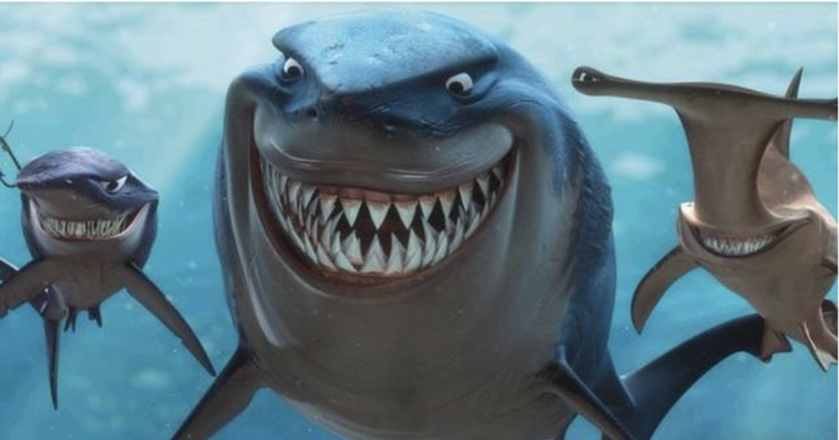 73 quỹ cổ phiếu đã 'đặt cược' vào những mã nào trong tháng 9?