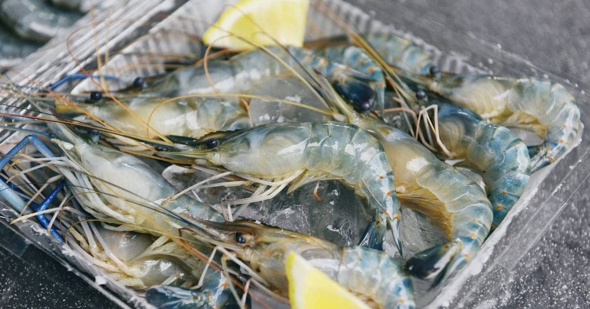 Thuế đối ứng 'thổi bay' gần 200 tỷ, FMC trở thành tâm điểm đầu tư