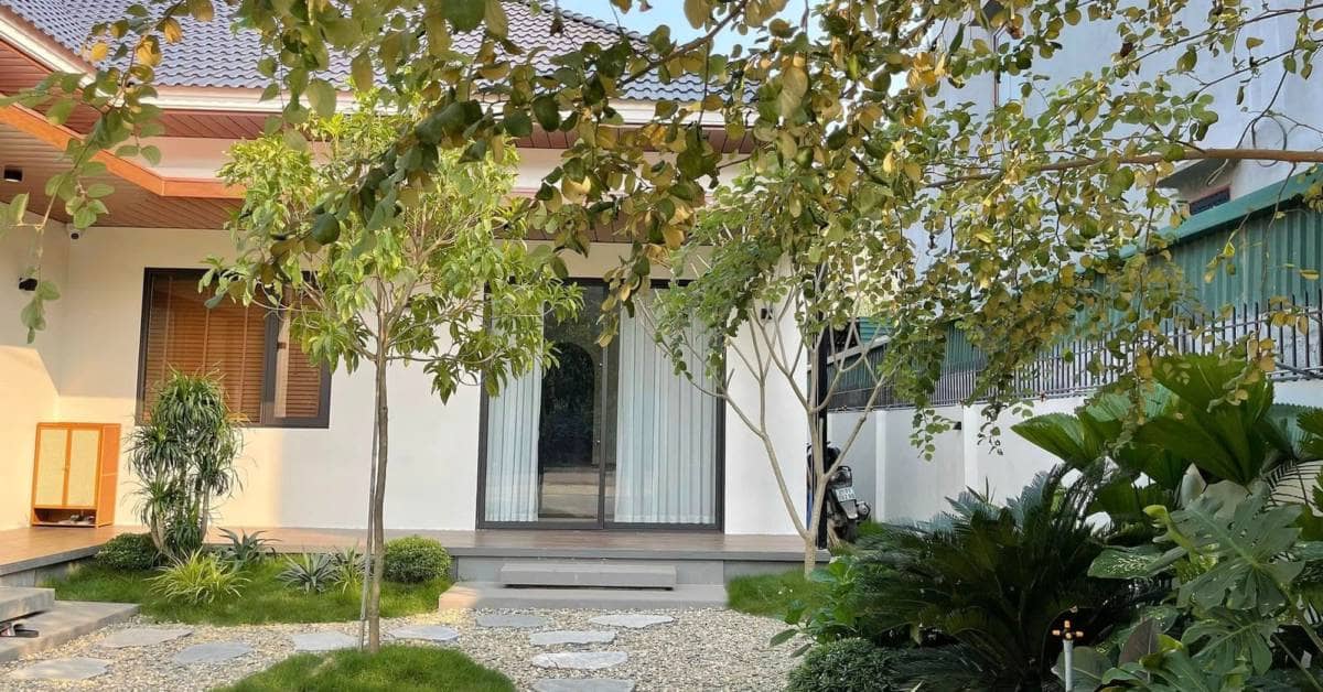 5 dấu hiệu nhà bạn là "đất vàng" phong thủy: Chuyển đi hay bán đều phí lộc trời ban