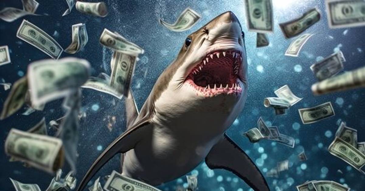 Tự doanh và tổ chức trong nước tích cực mua vào trong tuần qua