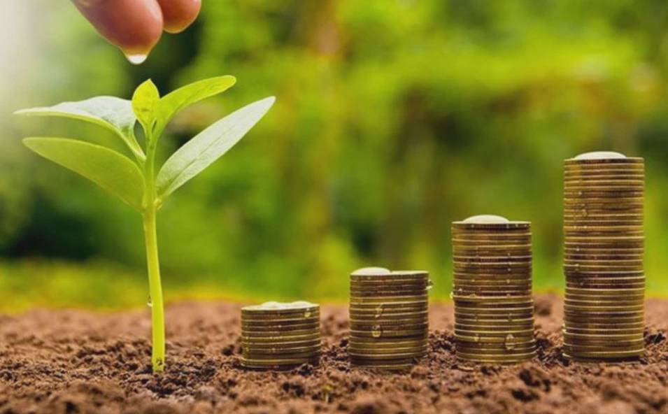 Tuần 3–7/11: Nhiều doanh nghiệp công bố lịch chốt quyền trả cổ tức