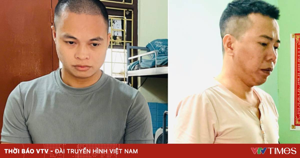 Công ty Hải Bé trốn thuế gần 9 tỷ đồng, hai bị can bị khởi tố bổ sung